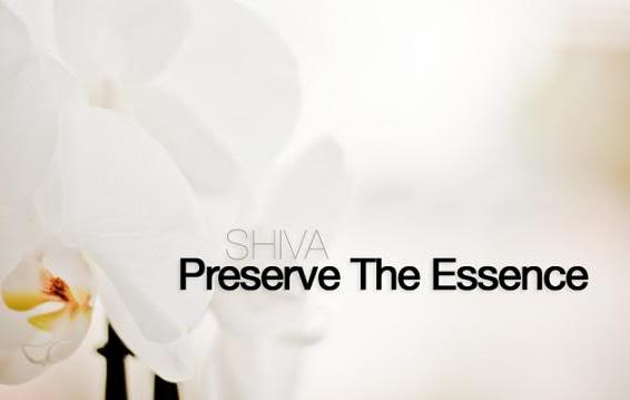 Preserve The Essence